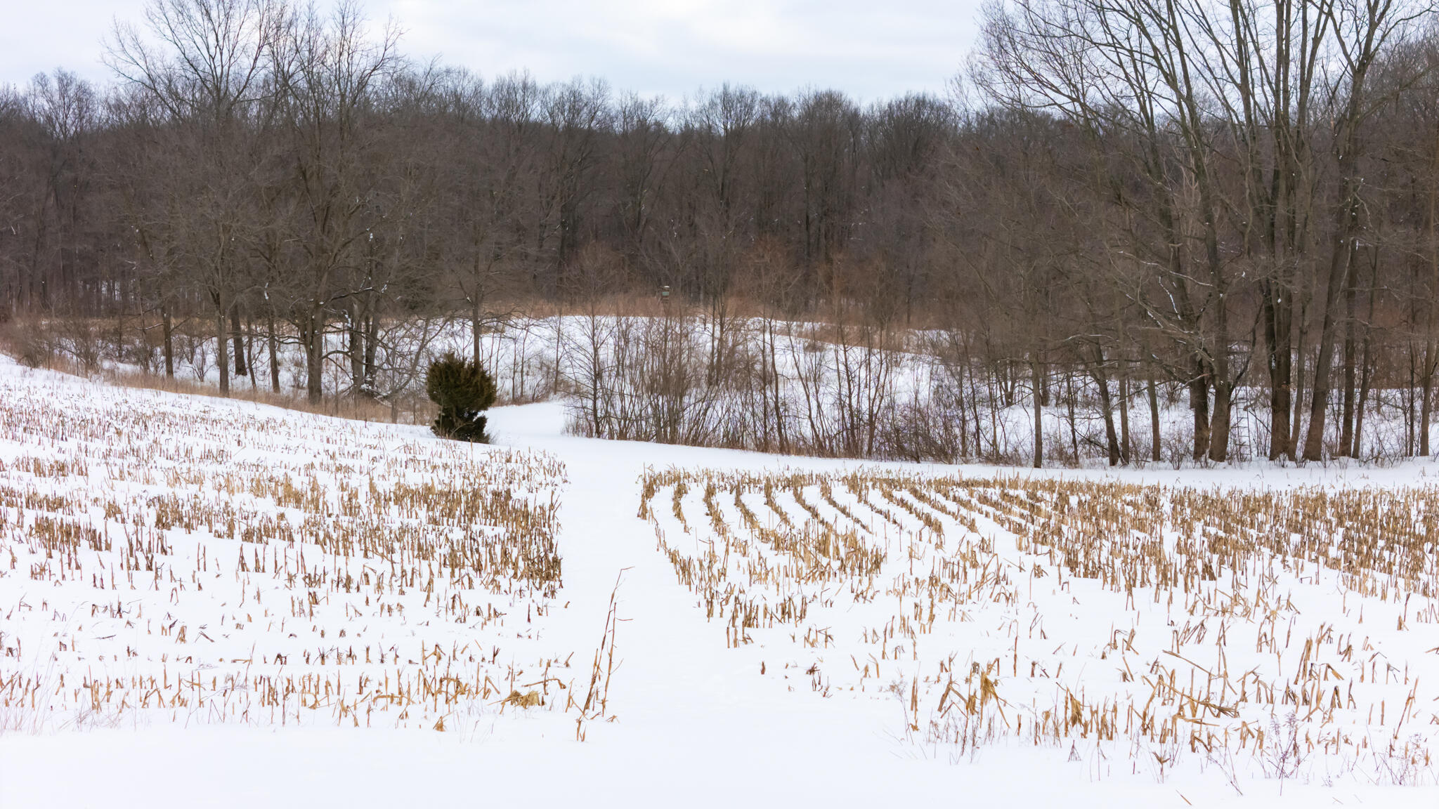 8475 Gurd Road Dowling, MI 49050 - Photo 72 of 73 8475Gurd50