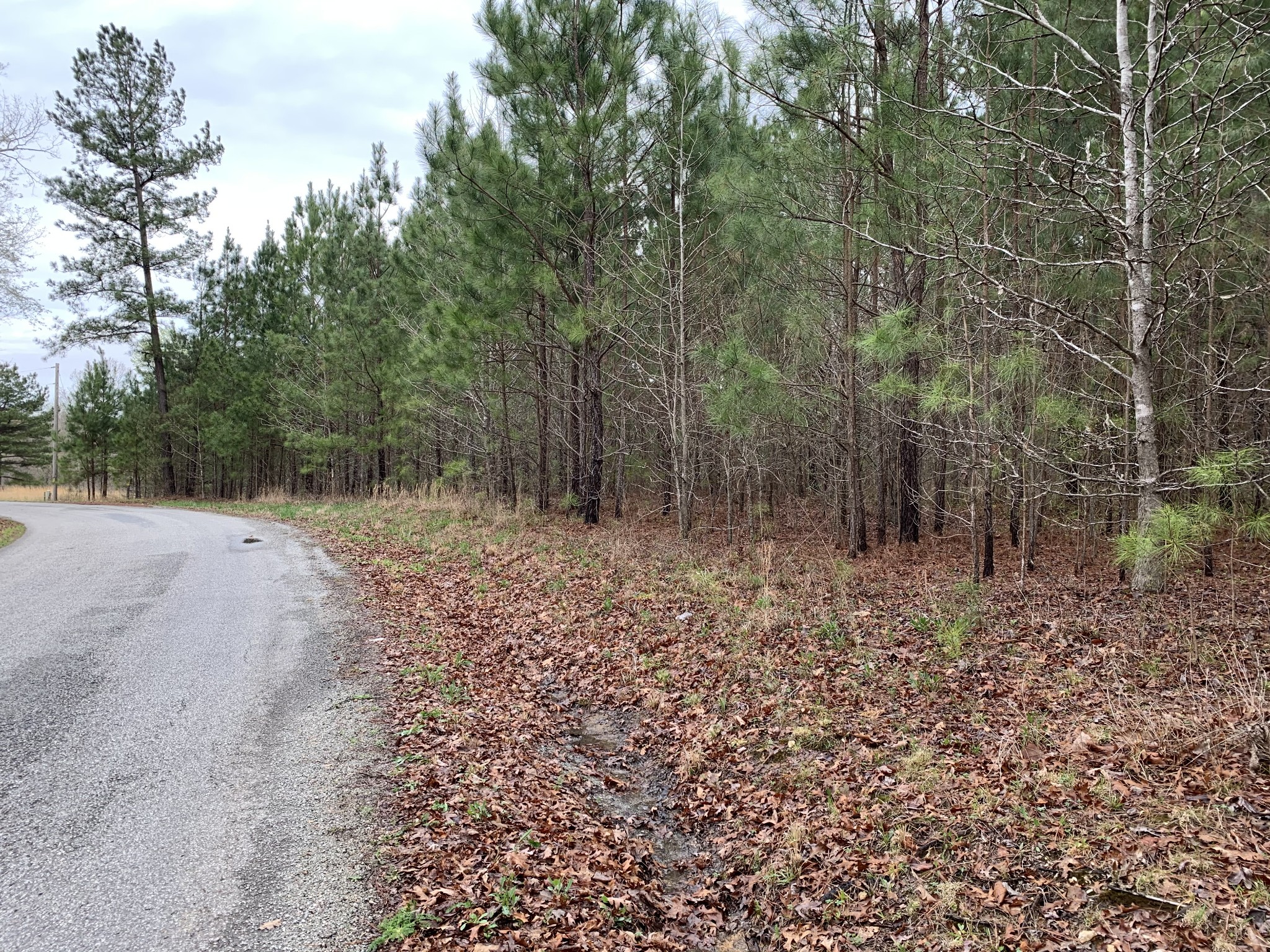 0 Bald Knob Road Holladay, TN 38341 - Photo 4 of 4 Gallery Image 4