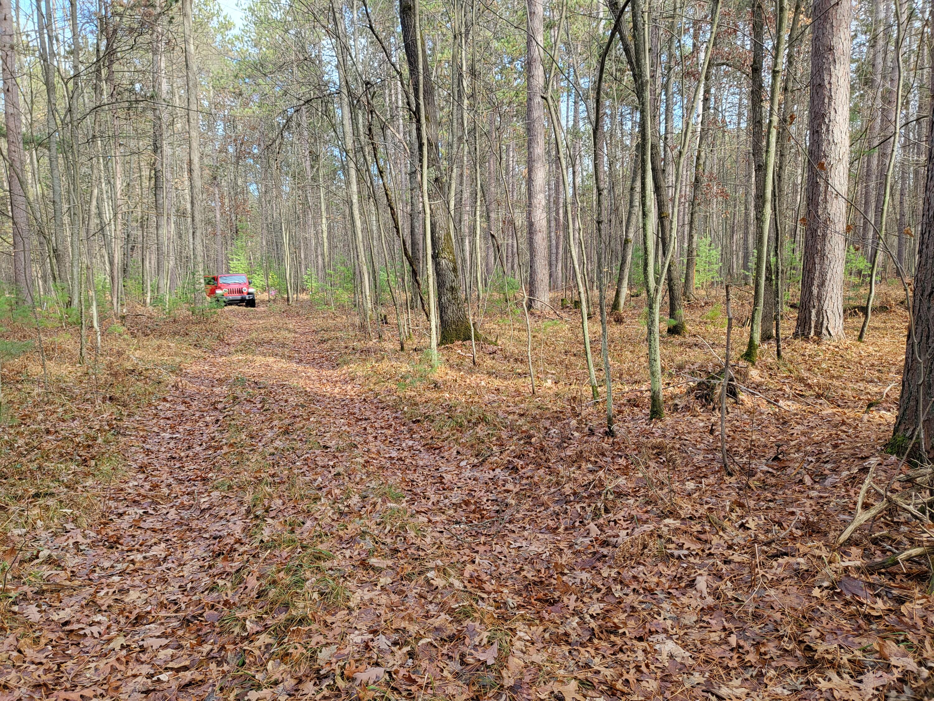 West Fletcher Road Roscommon, MI 48653 - Photo 14 of 16 Gallery Image 14