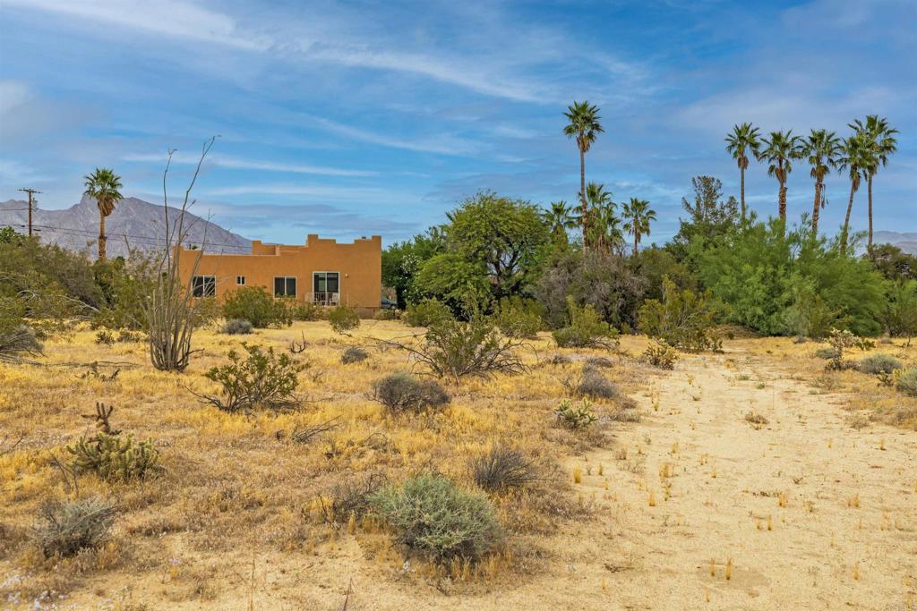 3431 Santa Saba Road Borrego Springs, CA 92004 - Photo 21 of 23 a view of a yard with a tree