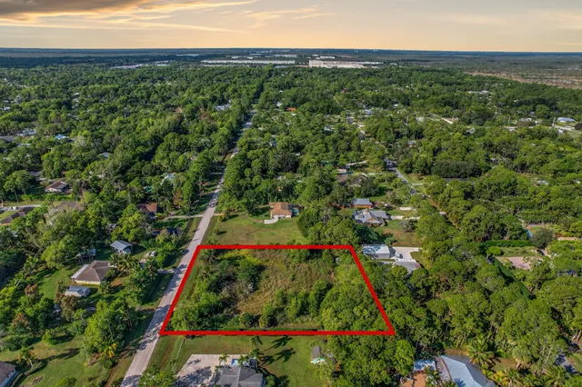 a view of a yard with plants