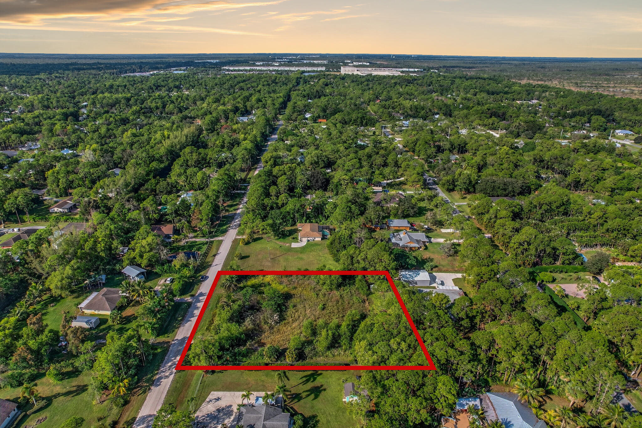 a view of a yard with plants