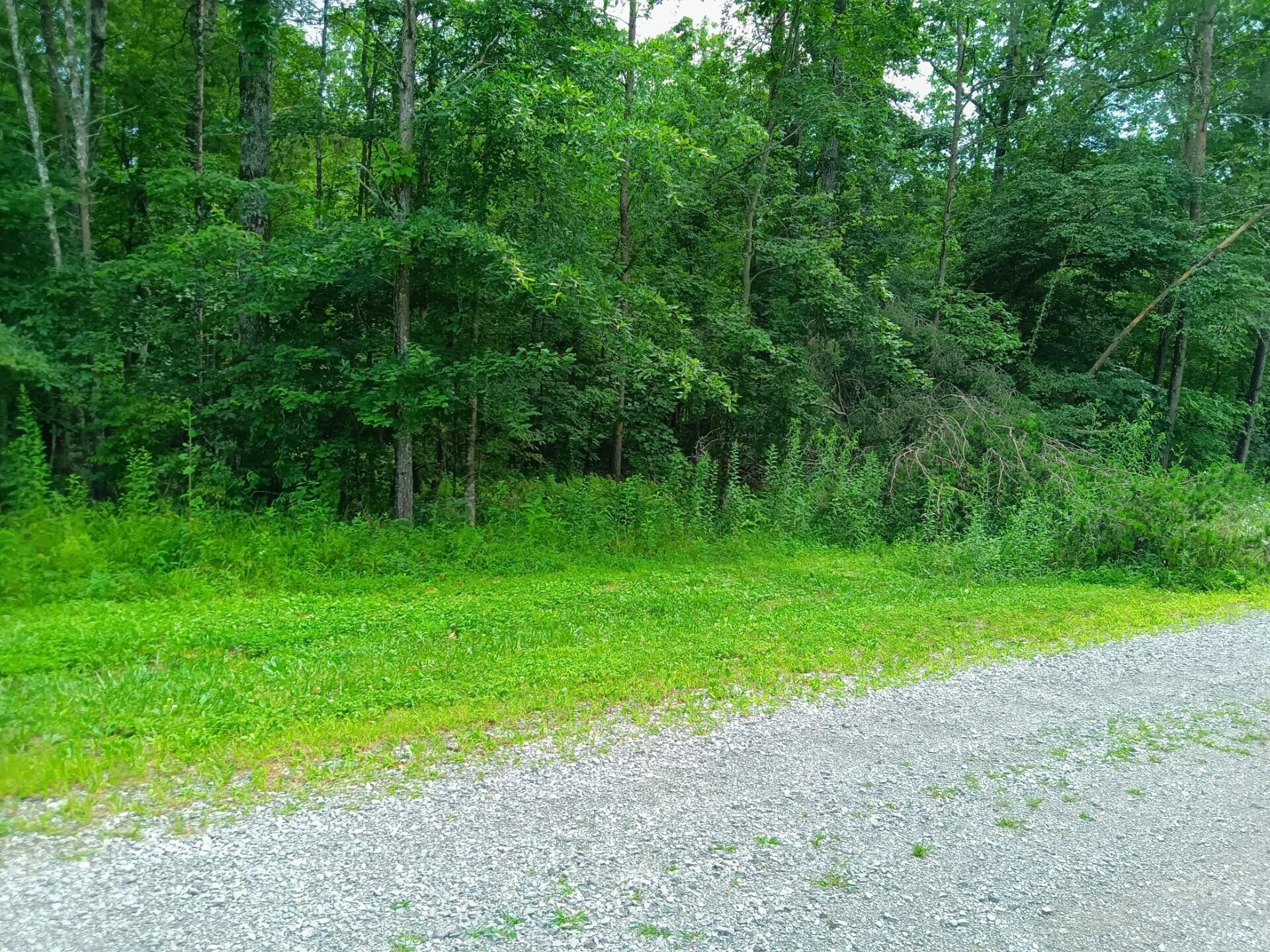 776 Pine Road Pikeville, TN 37367 - Photo 16 of 17 thumbnail_IMG_20250714_143742