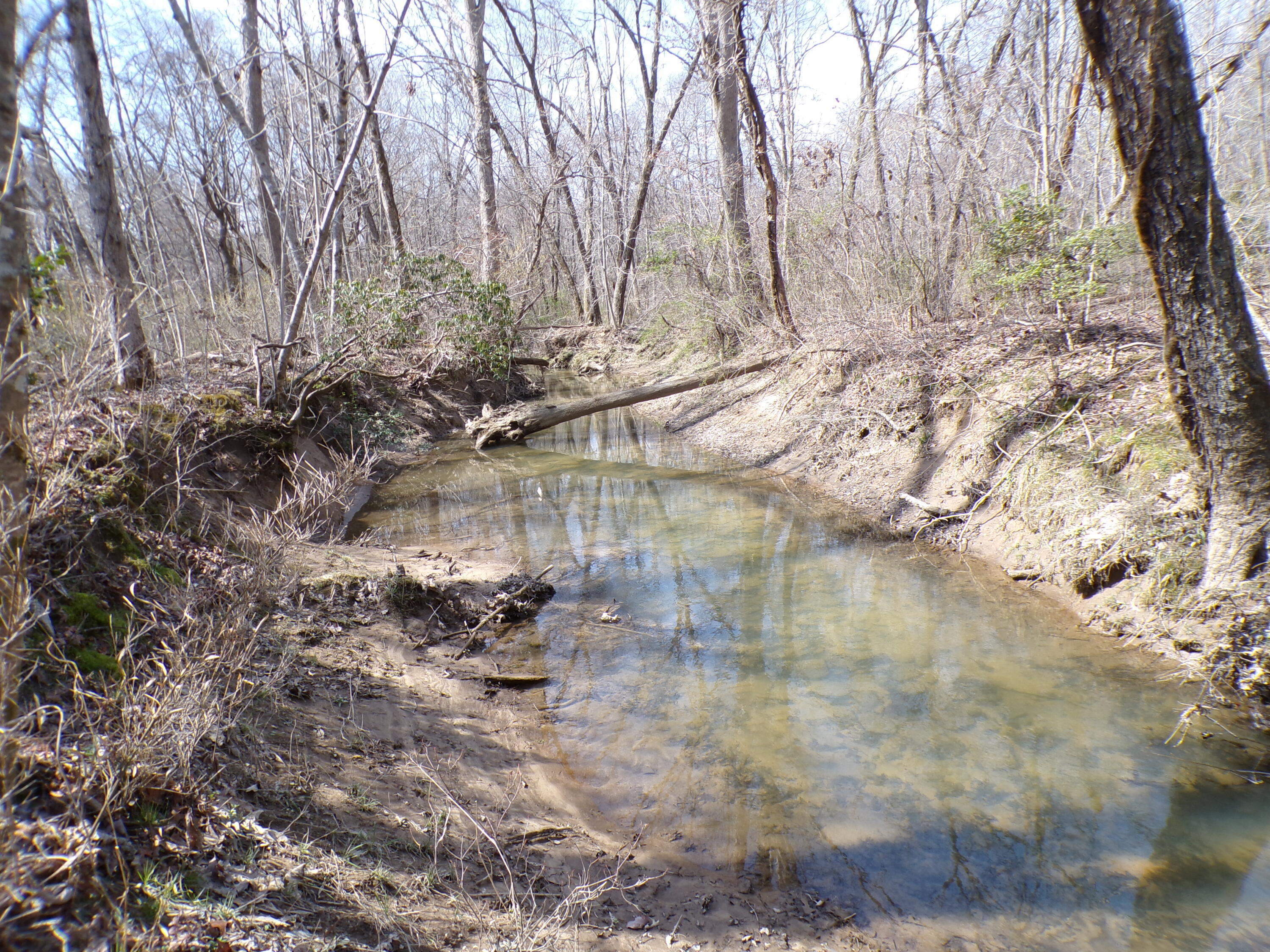 776 Pine Road Pikeville, TN 37367 - Photo 4 of 17 20240323152639961215000000-o