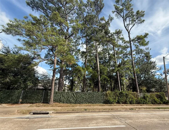 a view of a trees in a yard