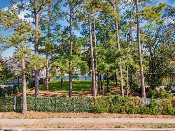 a view of a park that has large trees