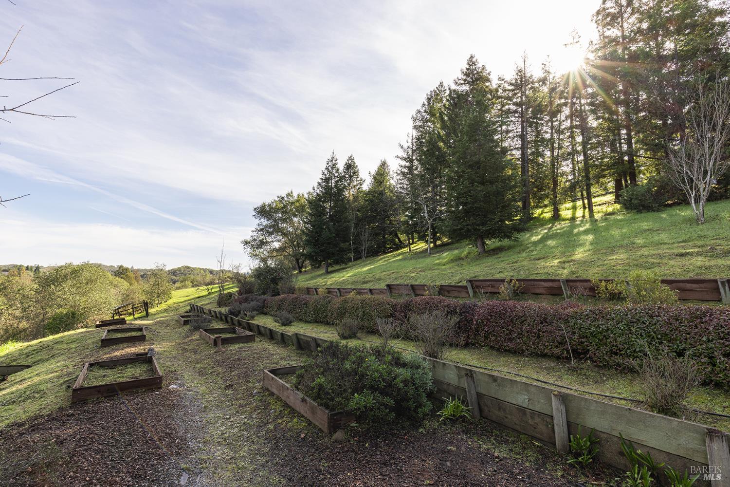 324 Burgundy Road Healdsburg, CA 95448 - Photo 41 of 52 Plenty of room for a pool or continue gardening