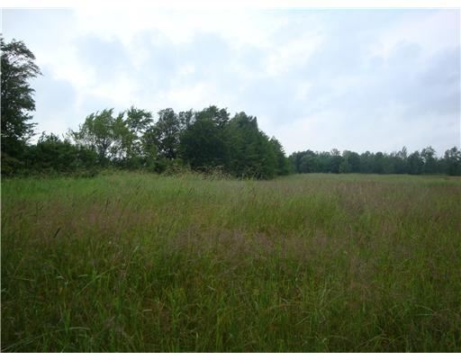 196 Egypt Road Presque Isle, ME 04769 - Photo 21 of 25 Land. Field behind house.