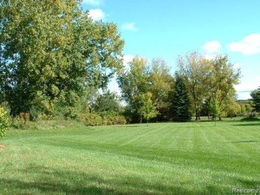 3260 North Mill Road Dryden, MI 48428 - Photo 11 of 16 3260YARD_NE_2.JPG