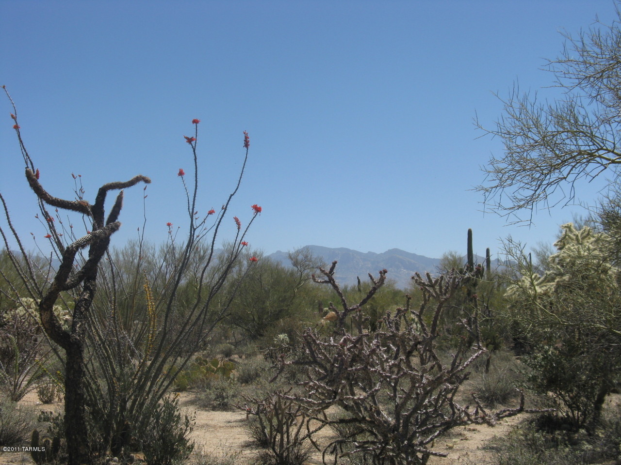 6481 West Ina Road, Unit 4 Tucson, AZ 85743 - Photo 10 of 14