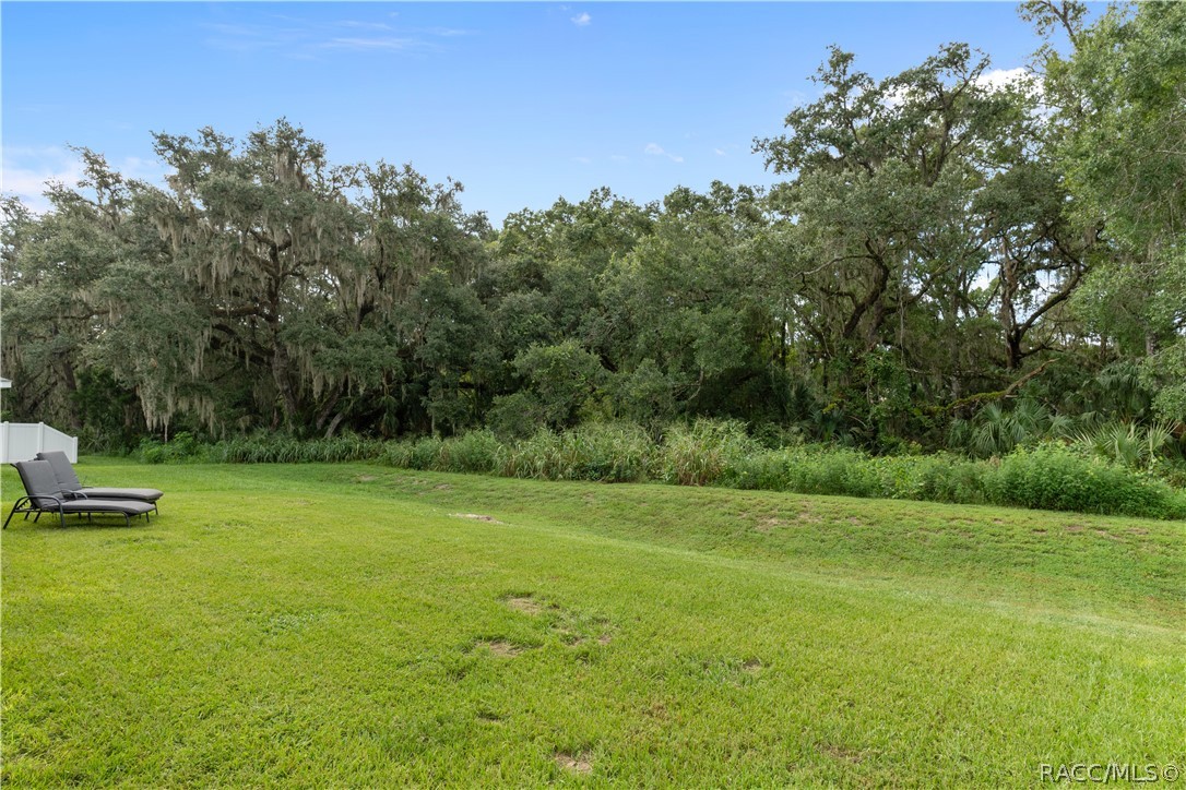 199 Bittern Loop Inverness, FL 34453 - Photo 27 of 32 Gallery Image 27