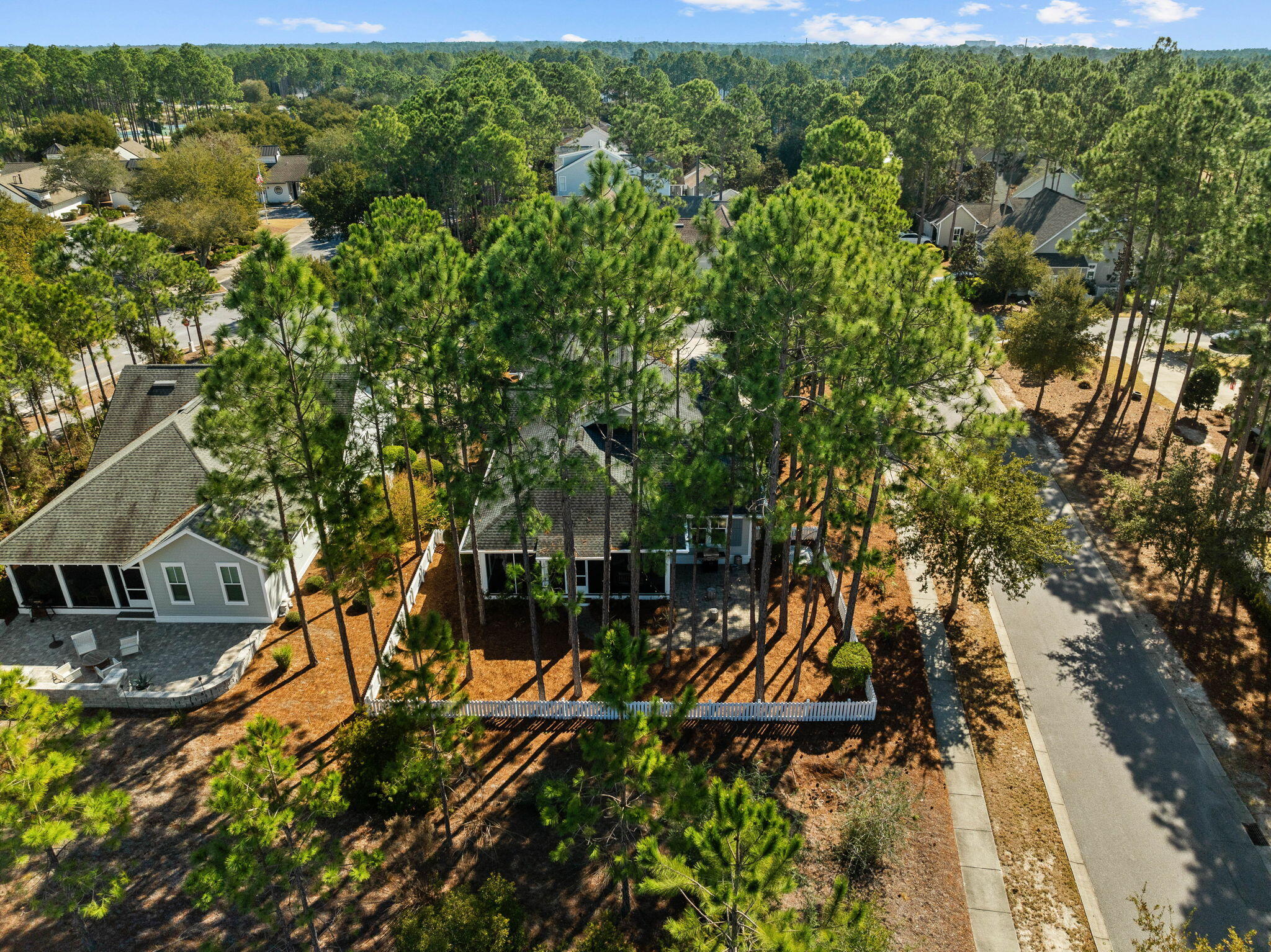 821 Breakers Street Inlet Beach, FL 32461 - Photo 18 of 69 a backyard of a house with lots of green space