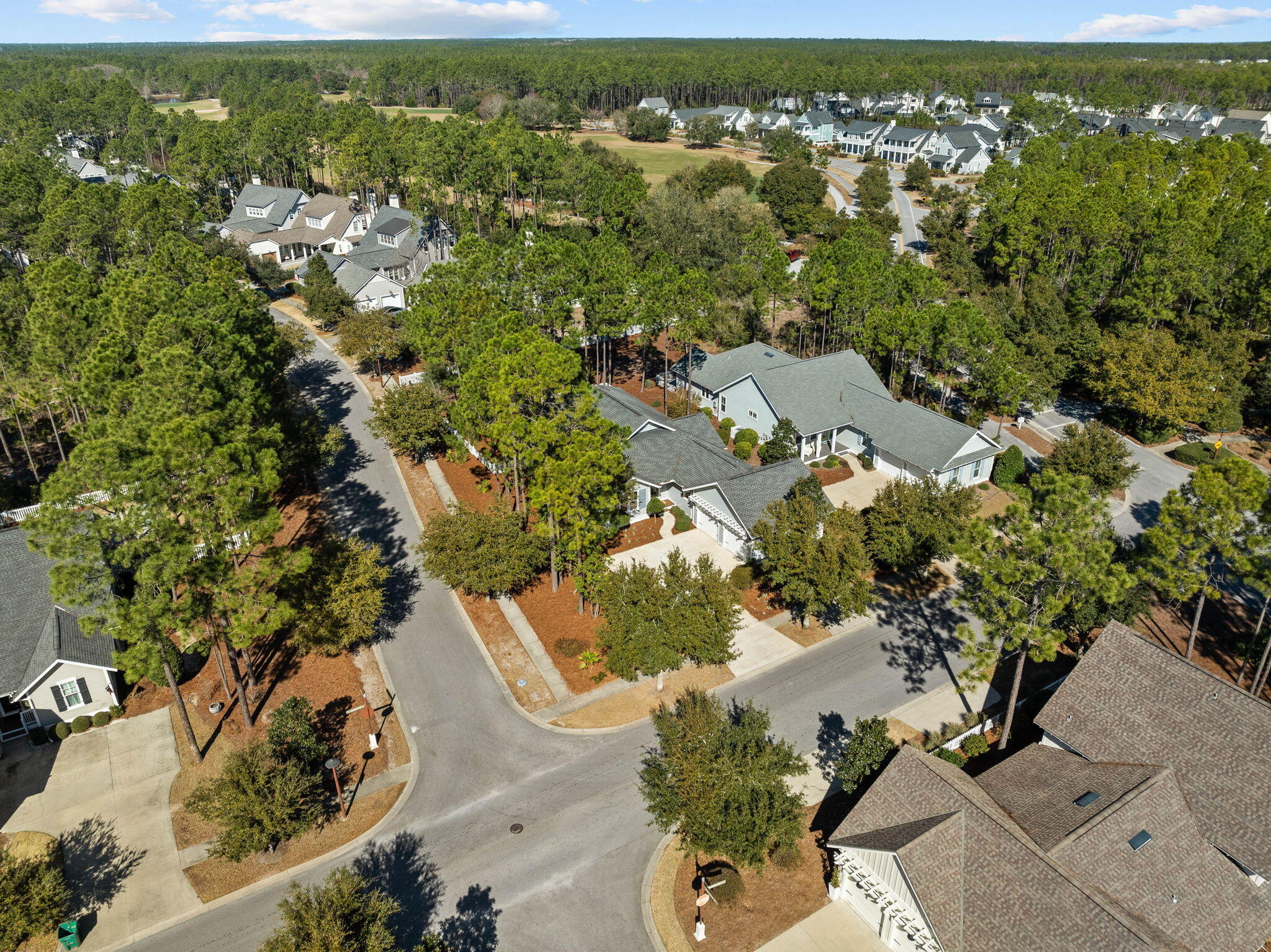 821 Breakers Street Inlet Beach, FL 32461 - Photo 6 of 69 an aerial view of residential houses with outdoor space and trees