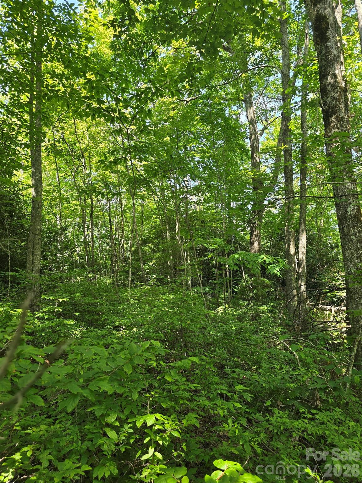 0 Nancy Mountain Road Rosman, NC 28772 - Photo 19 of 34