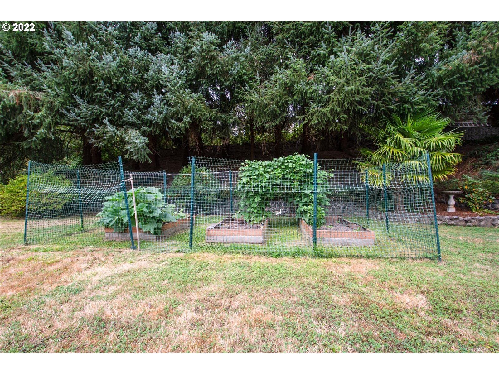 142 James Street Longview, WA 98632 - Photo 23 of 32