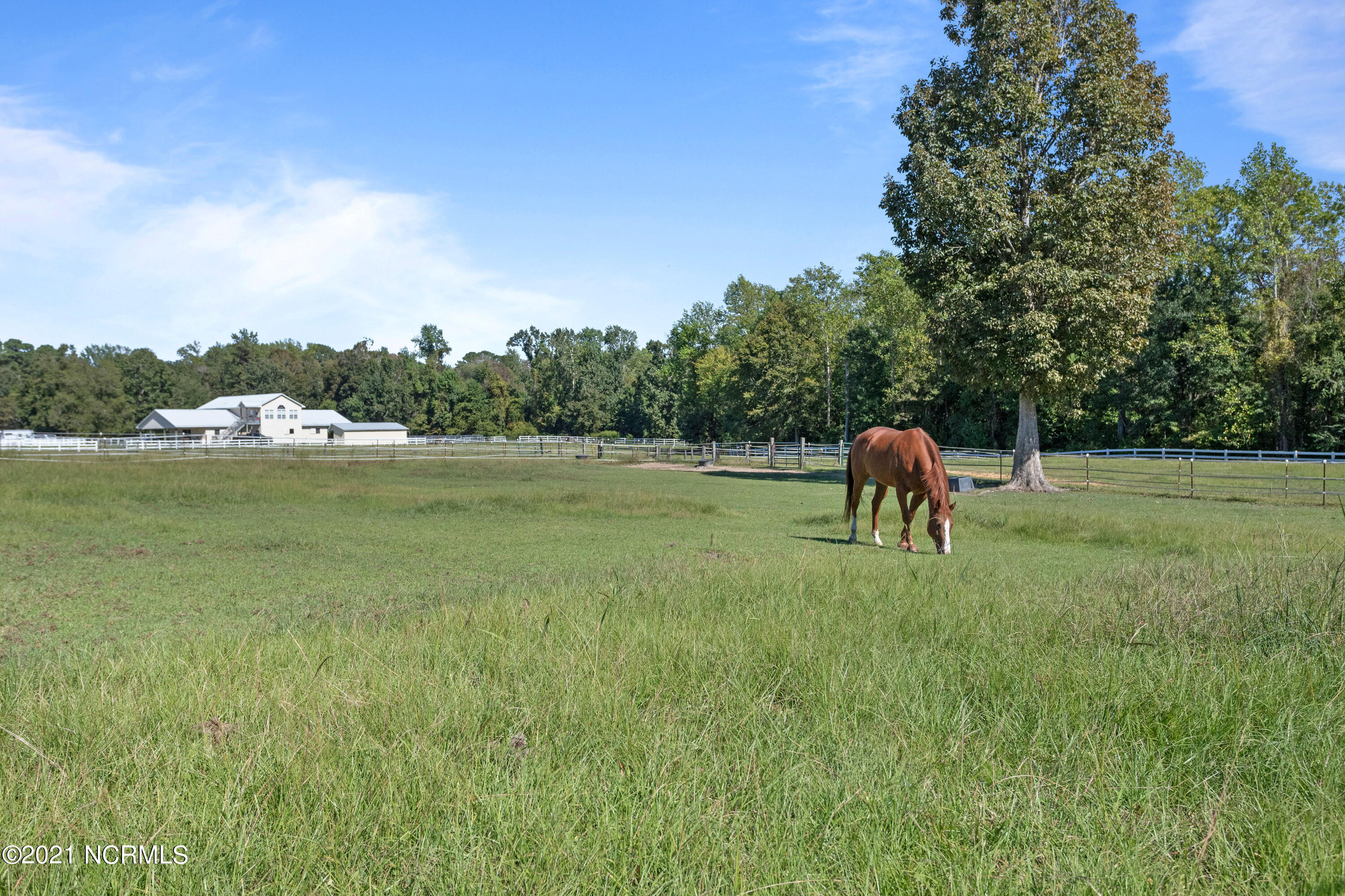 279 Waters Road Jacksonville, NC 28546 - Photo 17 of 40 IMG_8842