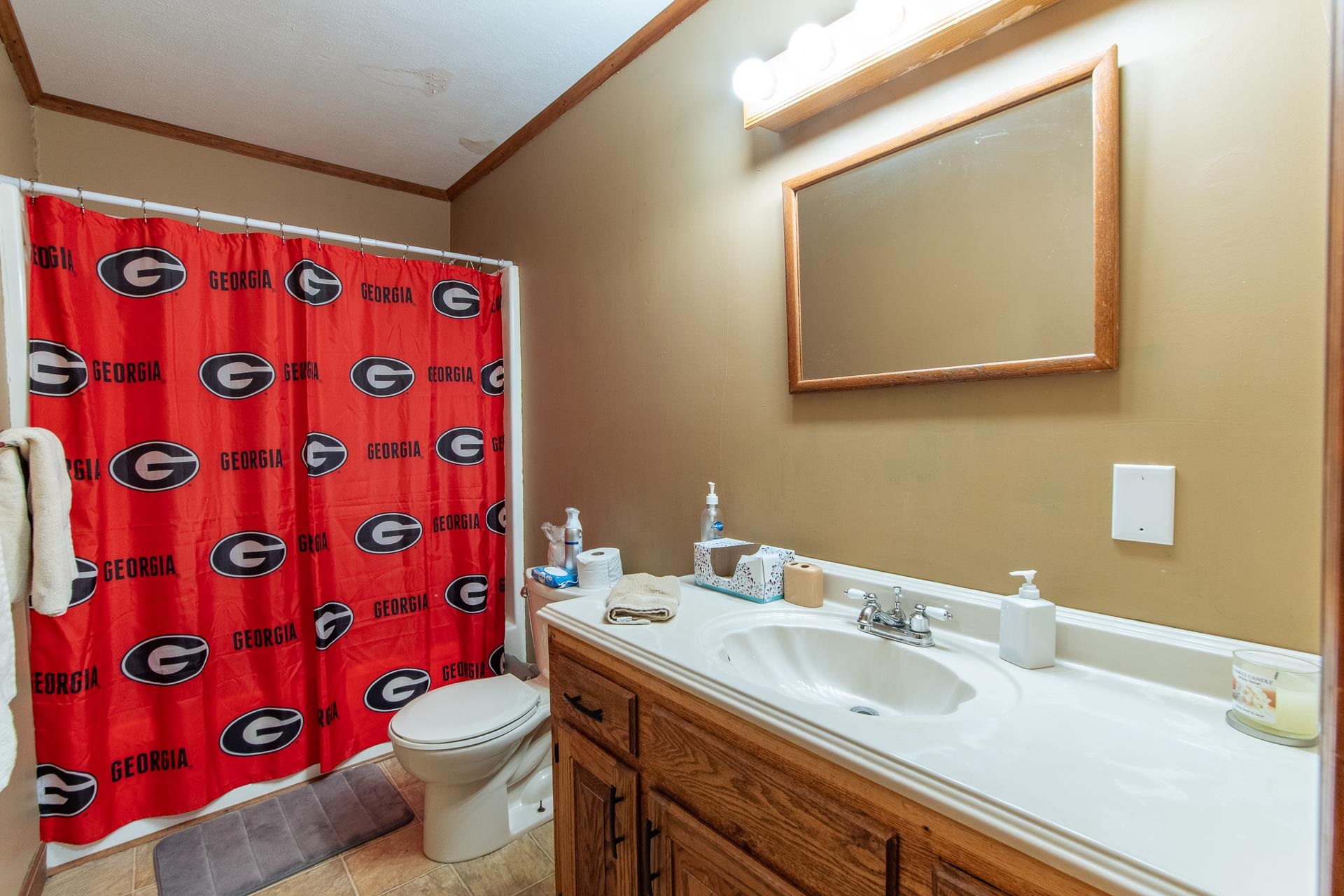 255 Easley Loop Savannah, TN 38372 - Photo 27 of 40 a bathroom with a sink and a mirror