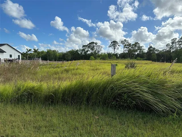 a view of a lake from a yard