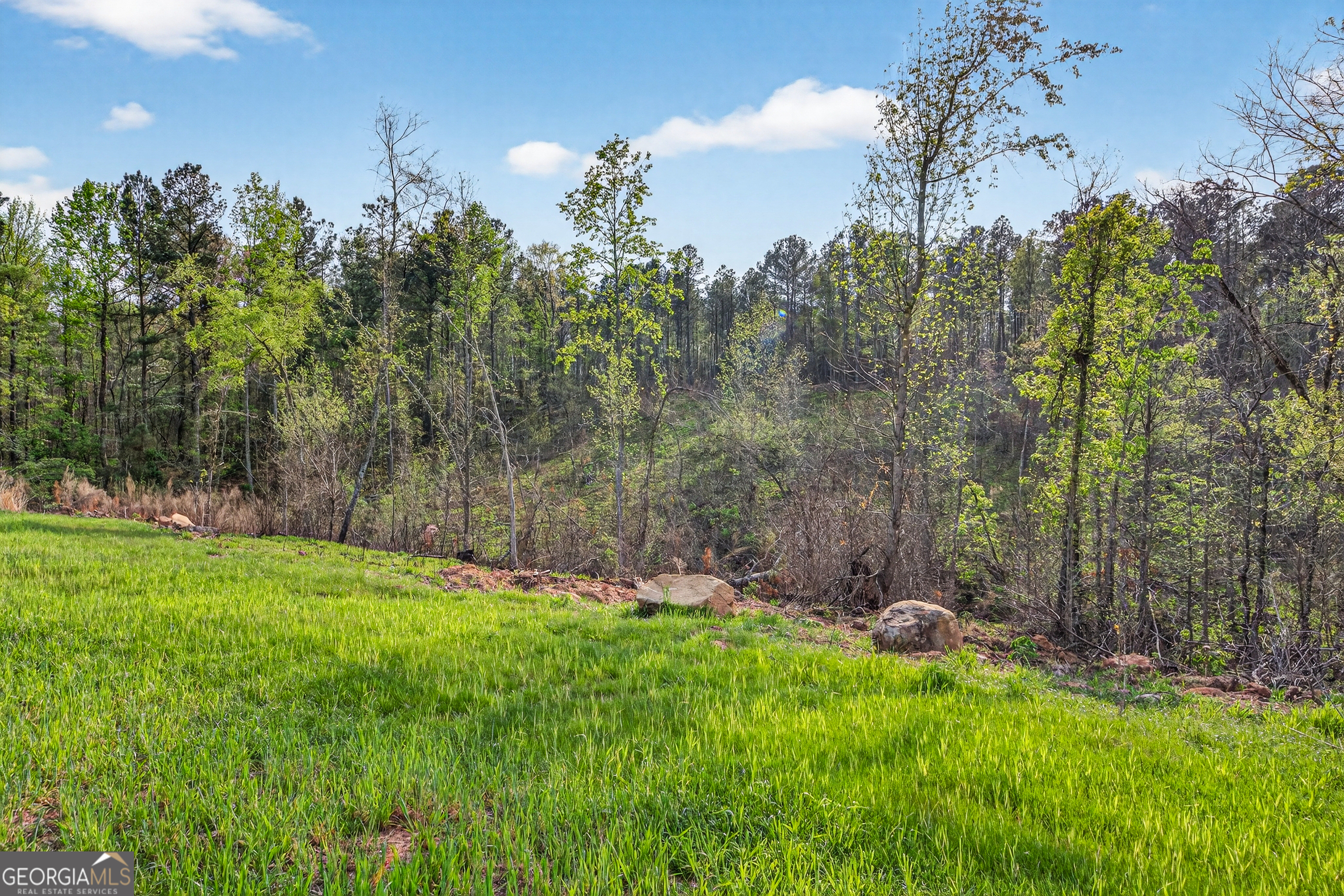 669 Pecan Grove Road Washington, GA 30673 - Photo 49 of 56 Gallery Image 49
