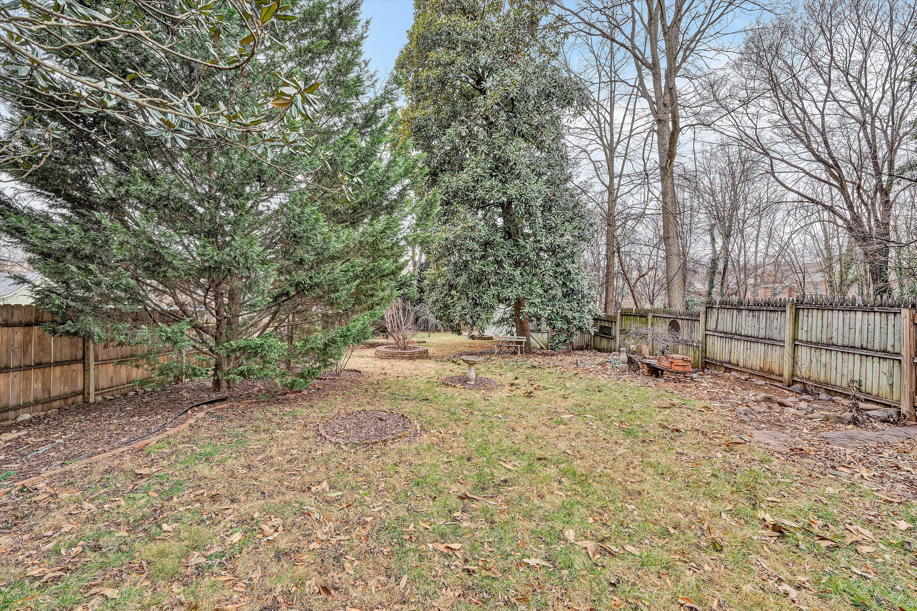 1609 6th Street Southwest Roanoke, VA 24016 - Photo 37 of 43 a view of a yard with trees