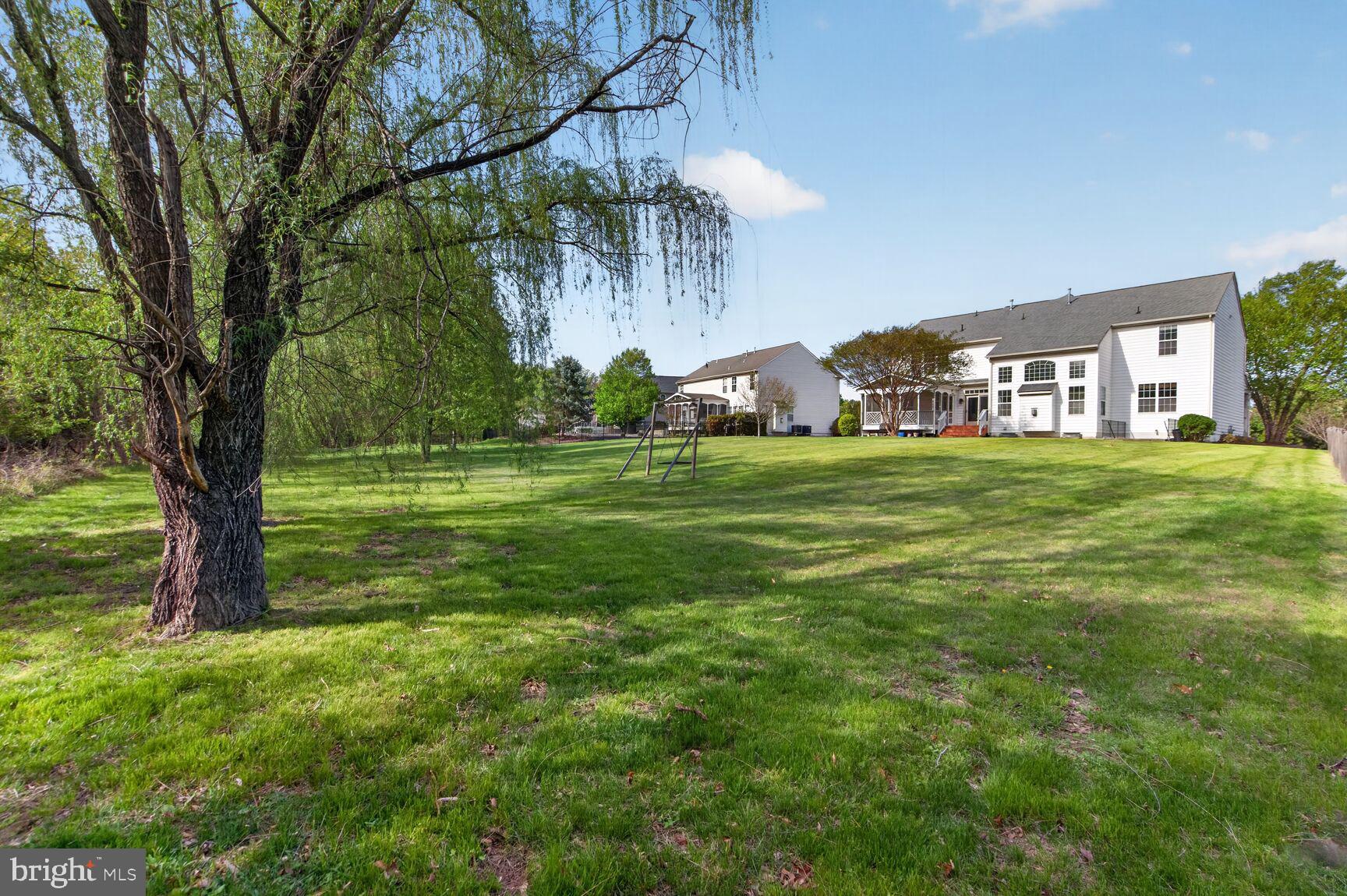 25845 Spring Farm Circle Chantilly, VA 20152 - Photo 50 of 57 Spacious backyard with serene views.
