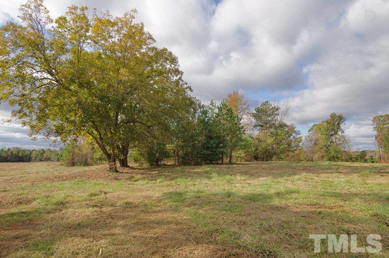 708 Frazier Road Spring Hope, NC 27882 - Photo 1 of 13