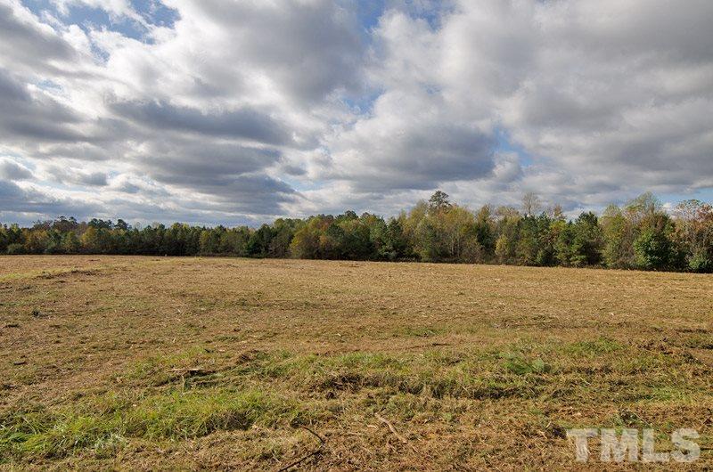 708 Frazier Road Spring Hope, NC 27882 - Photo 8 of 13