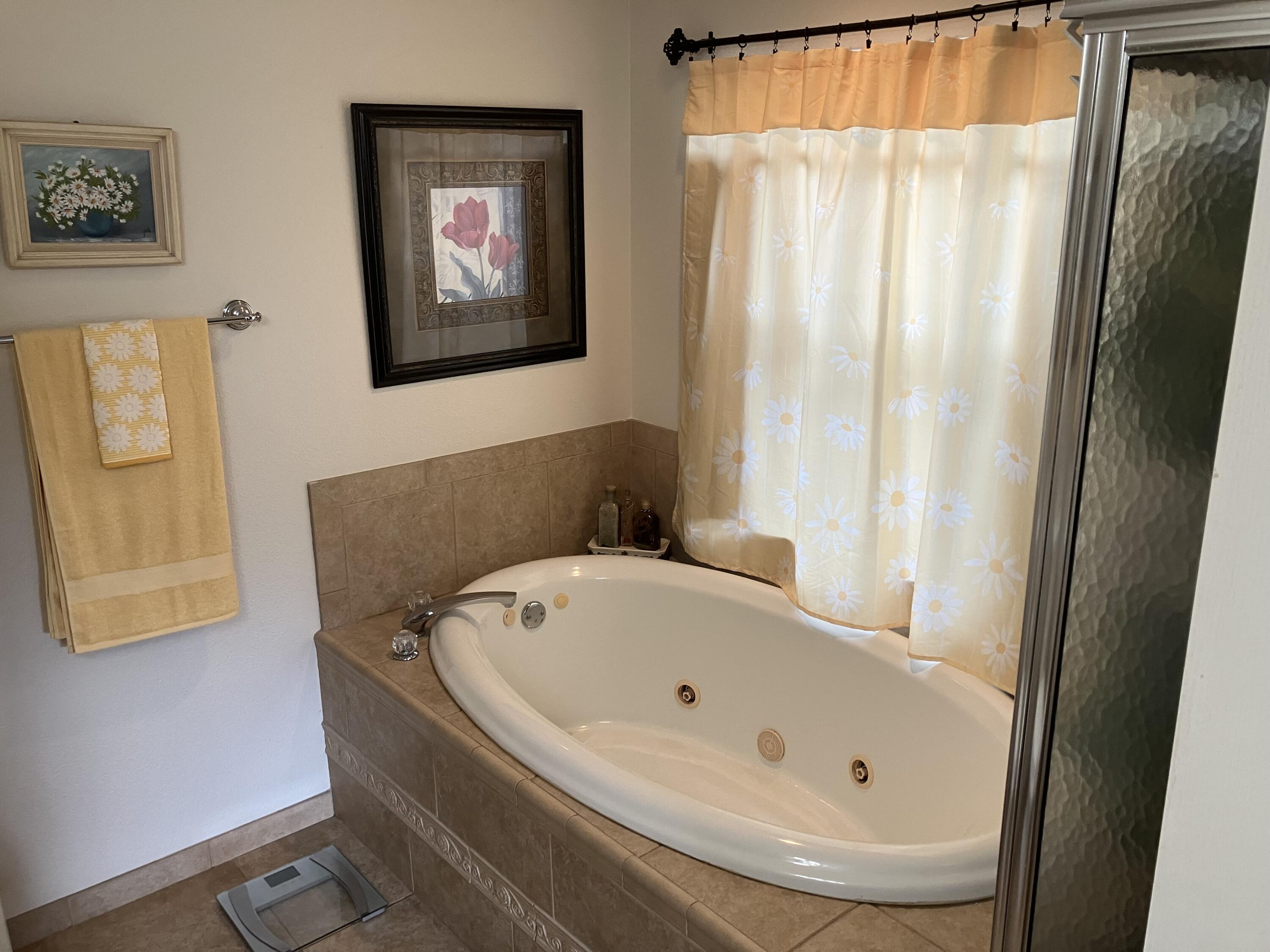 14050 Brighton Street Spring Hill, FL 34609 - Photo 11 of 20 a bathroom with a tub and a shower