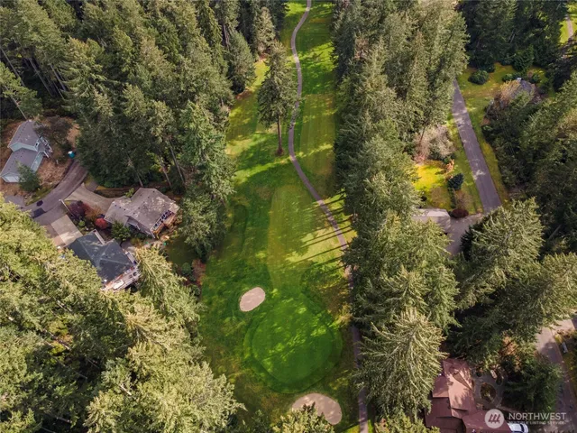 a view of a tree in a backyard of a house