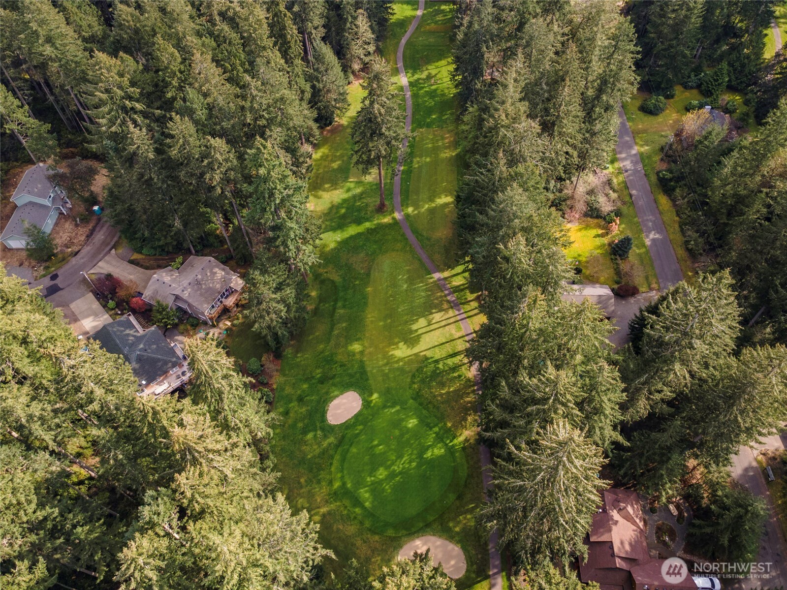 11018 Matthews Way Anderson Island, WA 98303 - Photo 11 of 19 a view of a tree in a backyard of a house