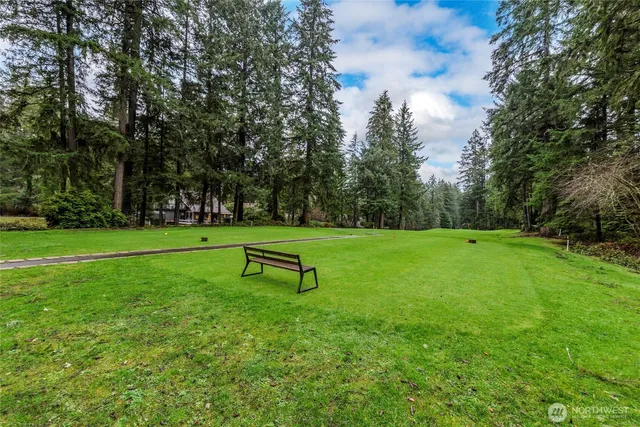 a view of a park with large trees
