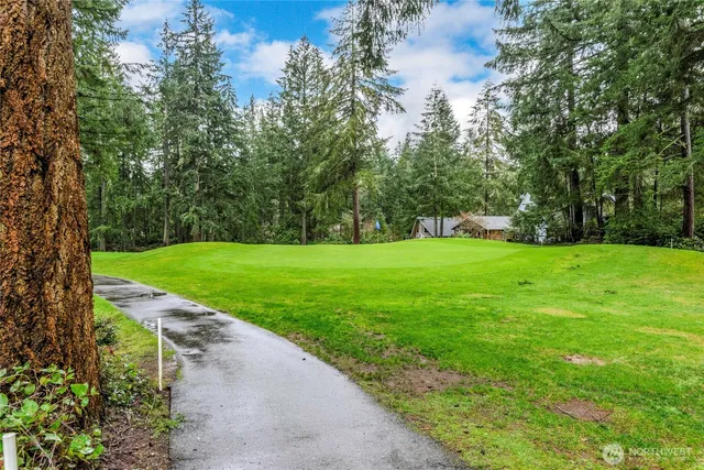 a view of a park with large trees