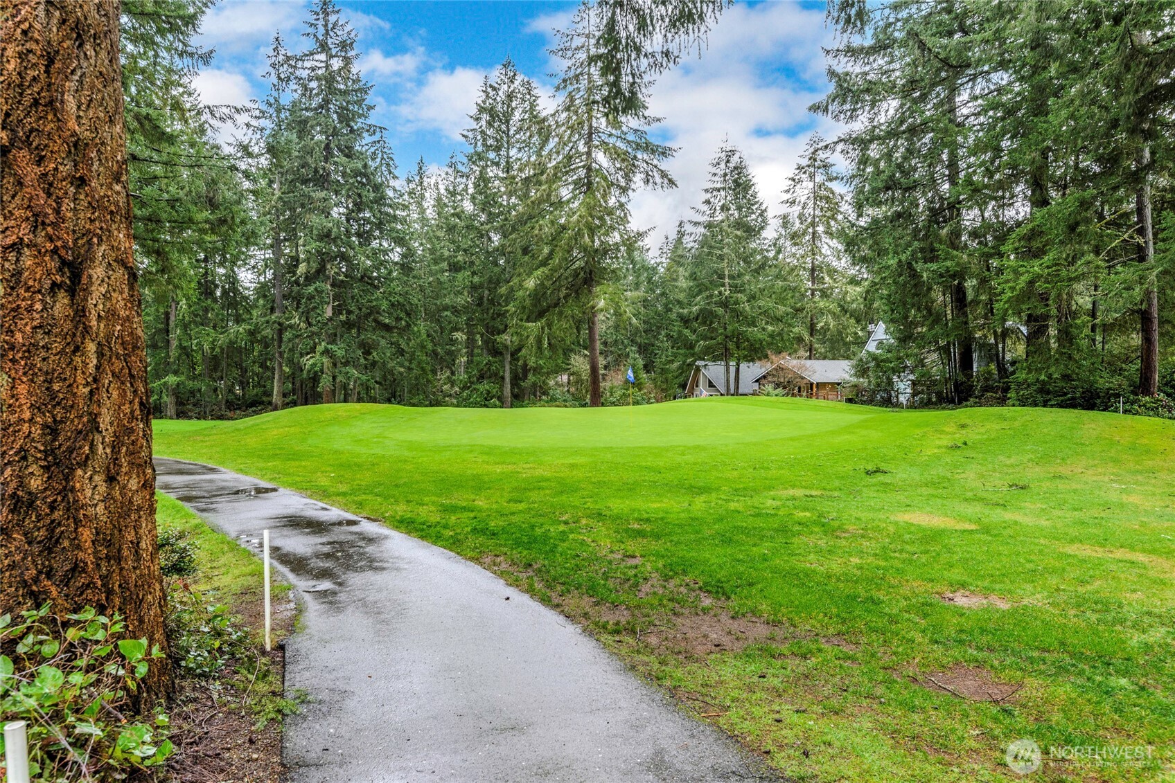 11018 Matthews Way Anderson Island, WA 98303 - Photo 13 of 19 a view of a park with large trees