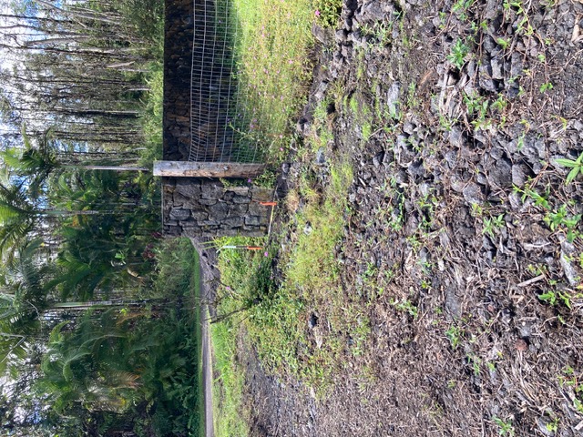 879 Church Road Pahoa, HI 96778 - Photo 11 of 15