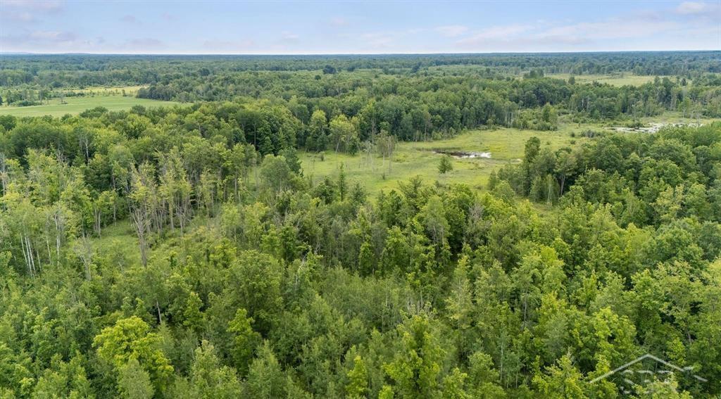 3428 3 Rivers Road Gladwin, MI 48624 - Photo 15 of 28