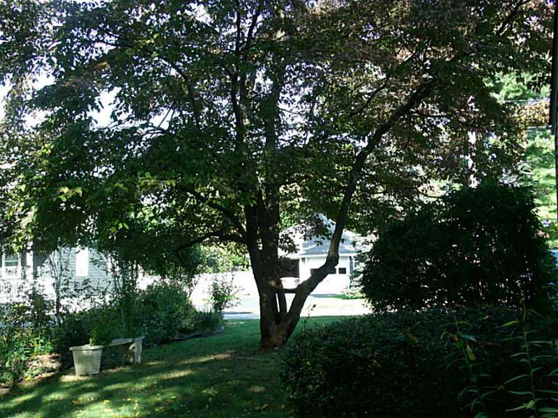 9 Cottage Street Warren, RI 02885 - Photo 16 of 19 Yard/Garden.
