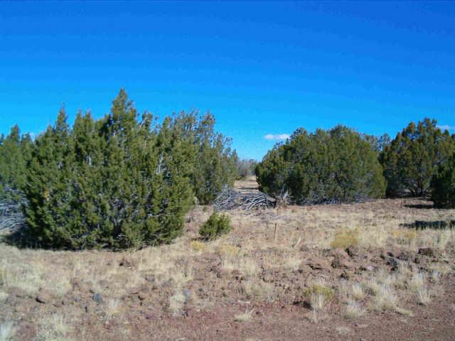 115 West County 8111 Road, Unit 676 Concho, AZ 85924 - Photo 1 of 4 Primary Photo