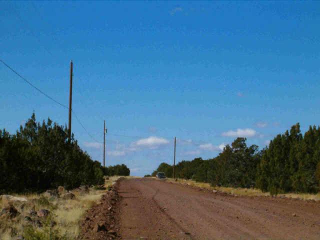 115 West County 8111 Road, Unit 676 Concho, AZ 85924 - Photo 2 of 4 Additional Photo