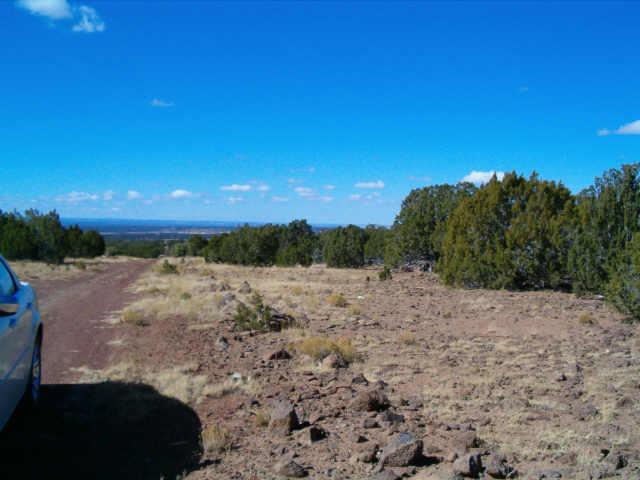 115 West County 8111 Road, Unit 676 Concho, AZ 85924 - Photo 4 of 4 Additional Photo