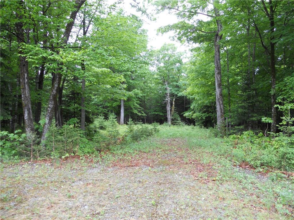 Lot 19 Winter Road Rangeley, ME 04970 - Photo 1 of 5 Driveway
