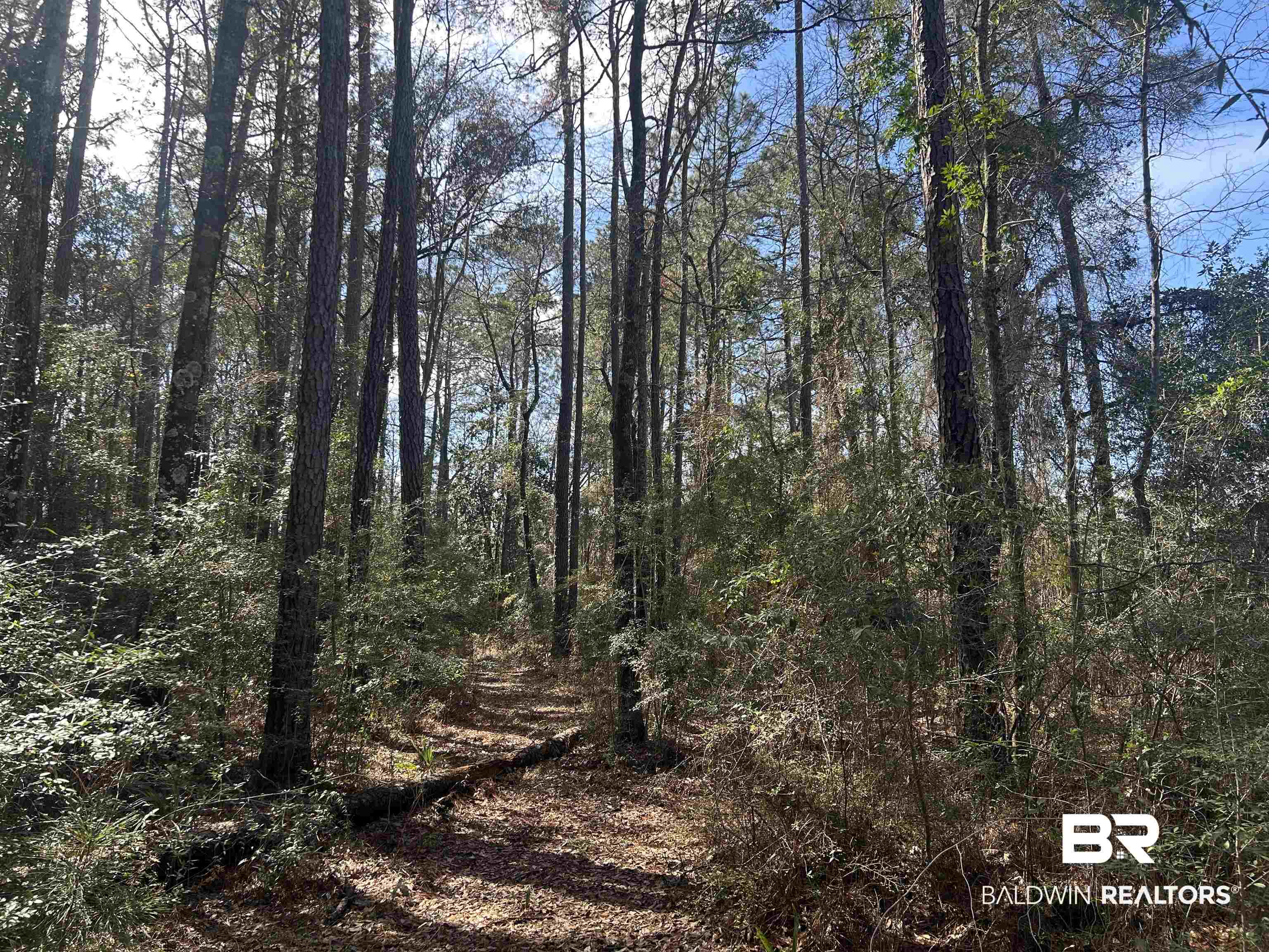 0 Baldwin Road Satsuma, AL 36572 - Photo 21 of 26 View of landscape featuring a forest view