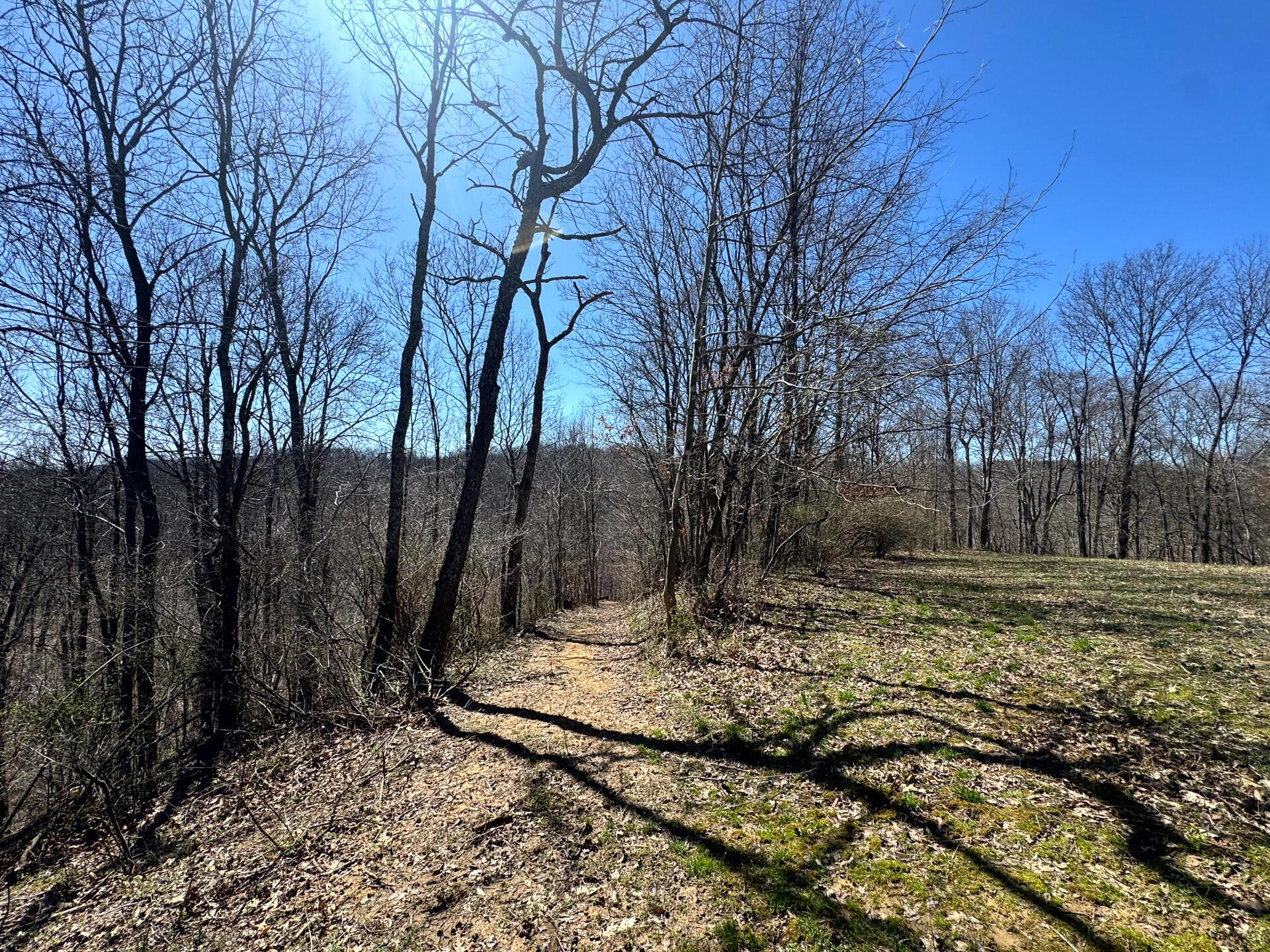 0 Remely Road, Unit MILLSTONE CAVES TRACT 1) Cutler, OH 45724 - Photo 27 of 41 CT-28