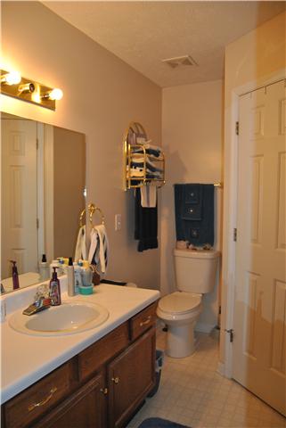 9575 Powells Chapel Road Murfreesboro, TN 37129 - Photo 13 of 18 a bathroom with a sink and mirror with toilet