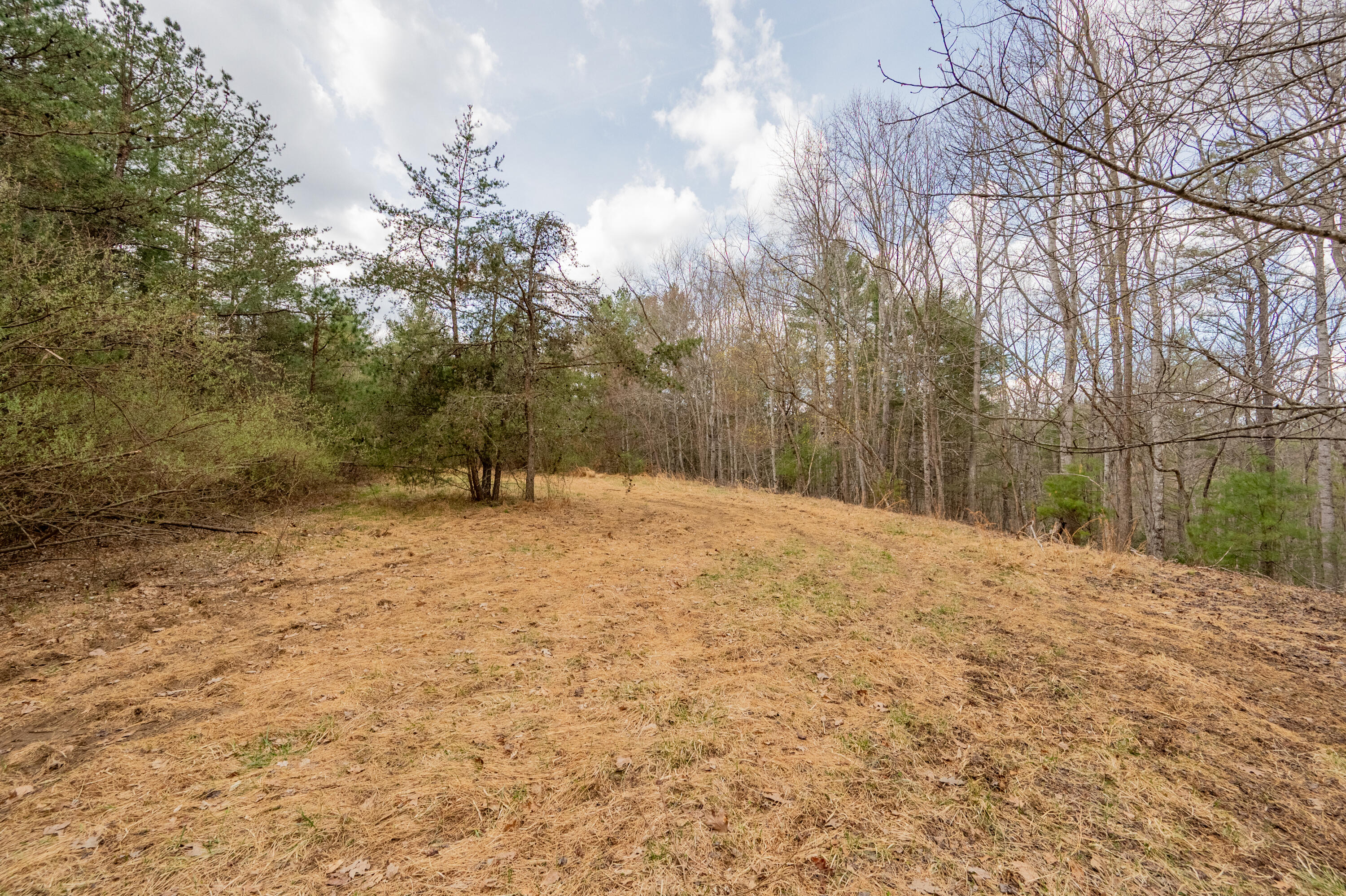 183 Pine Mountain Road Northeast Floyd, VA 24091 - Photo 52 of 54 a backyard of a house with large trees