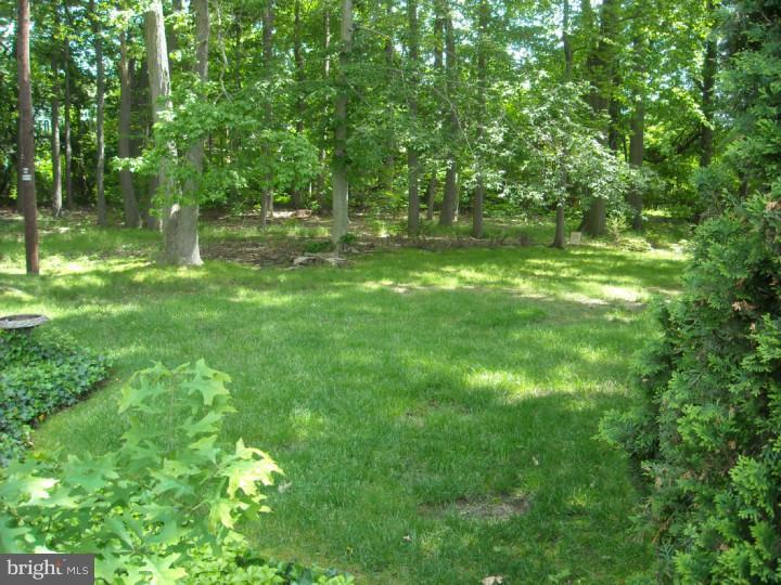 706 Halstead Road Wilmington, DE 19803 - Photo 22 of 25 Back Yard