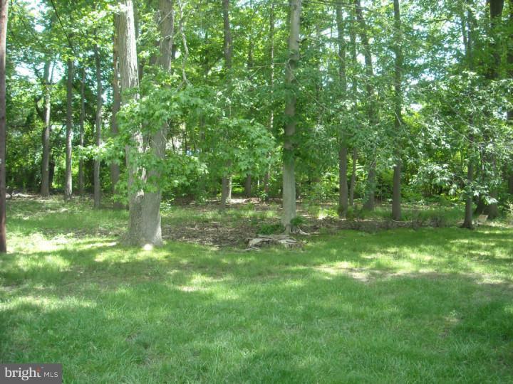 706 Halstead Road Wilmington, DE 19803 - Photo 23 of 25 Back Yard