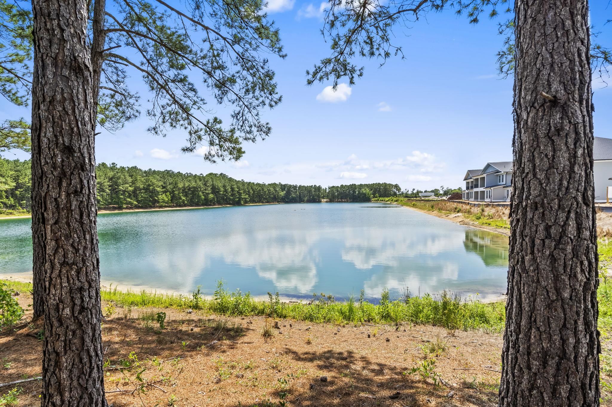 158 Shady Arbor Loop Longs, SC 29568 - Photo 46 of 63