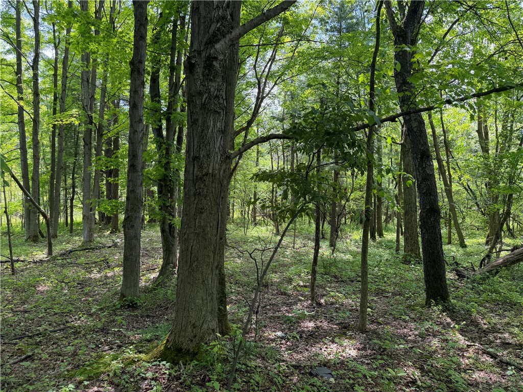 Vl Reed Road Dansville, NY 14437 - Photo 8 of 29