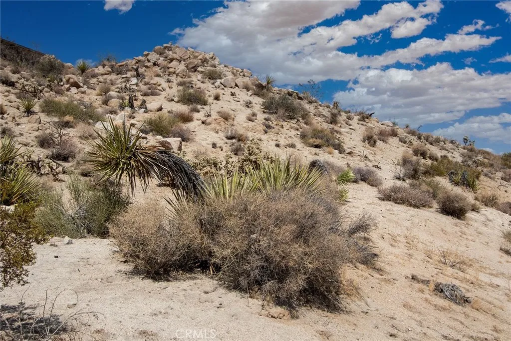 999 Mandarin Road Yucca Valley, CA 92284 - Photo 8 of 13 a view of a yard with a snow