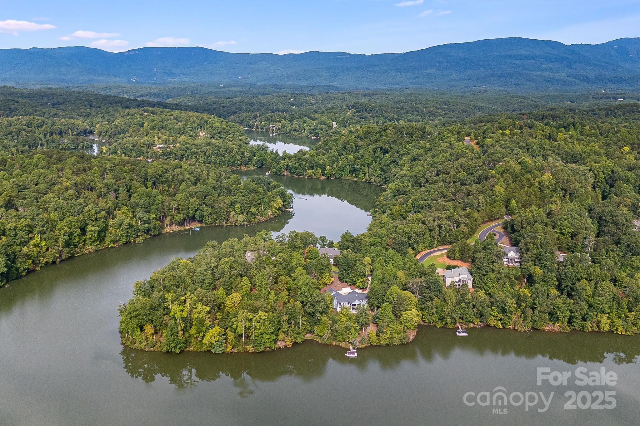 1140 Laurel Crest Lane Mill Spring, NC 28756 - Photo 11 of 27